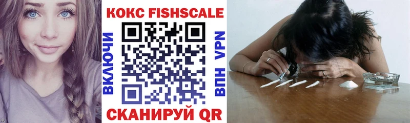 Купить  Карачаевск  COCAIN FishScale 